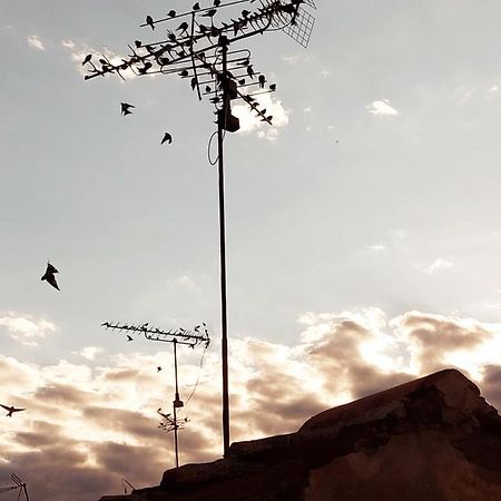 Appartamento Nona Marija Rovigno Esterno foto